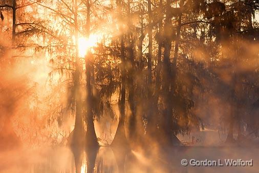 Misty Lake Martin Sunrise_25820.jpg - Photographed at the Cypress Island Preserve near Breaux Bridge, Louisiana, USA. 